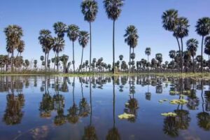 Ba&ntilde;ado La Estrella