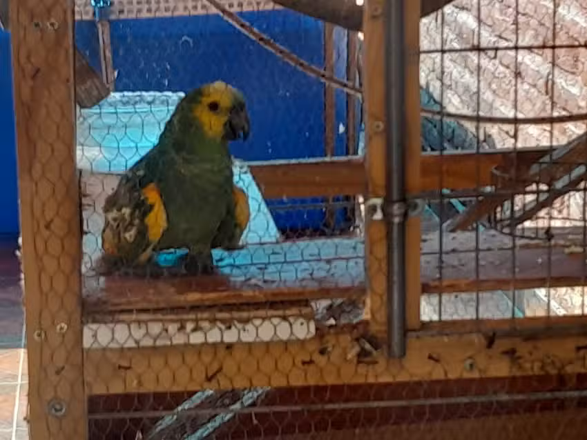 Barrio Lomas de Taf&iacute;