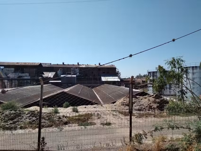 Ingenio R&iacute;o Grande