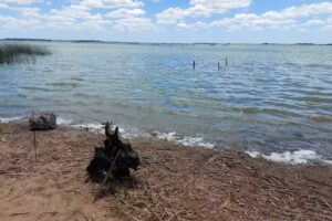 Laguna Salada Grande