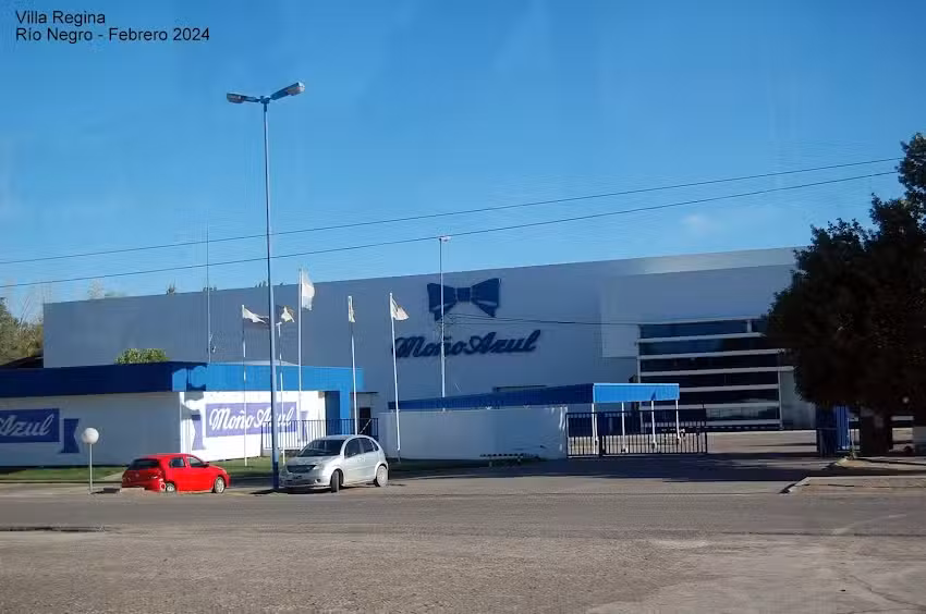 Mo&ntilde;o Azul S.A.