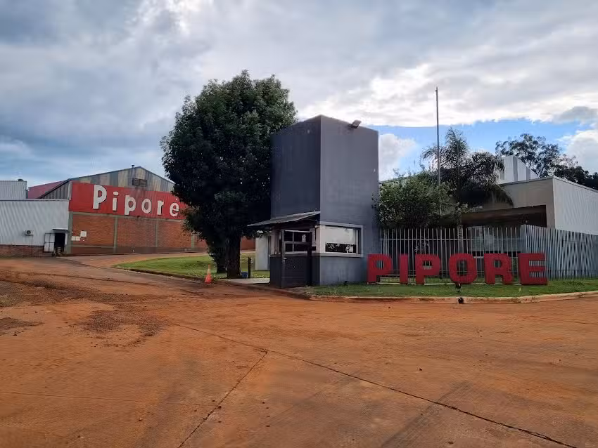 Productores de Yerba Mate de Santo Pip&oacute; SCL (Pipor&eacute;)