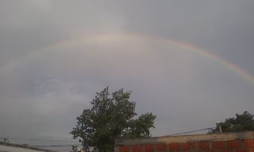 Profesora Maxima &ndash; Experta En Parapsicologia &ndash; Tarot