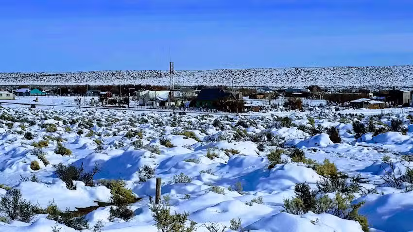 Ram&oacute;n M. Castro