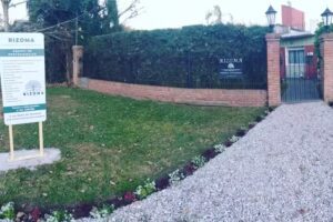 RIZOMA Consultorios Interdisciplinarios