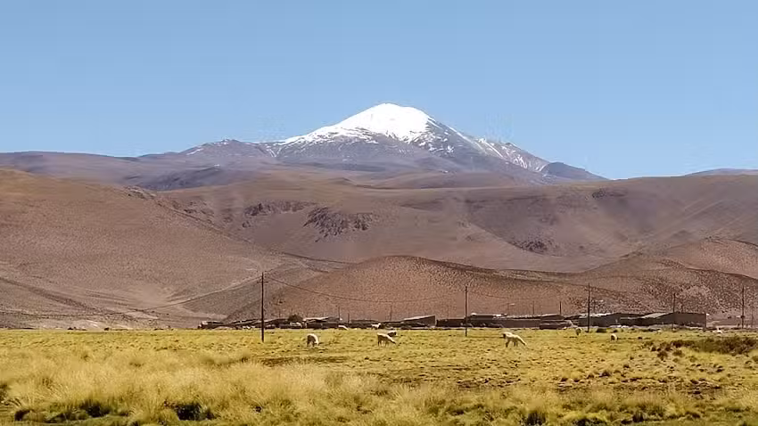 Santa rosa de los pastos grandes
