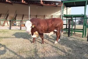 Sociedad Rural del Chaco en Margarita Belén