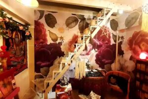 Tienda Esoterica Holística Libreria Comprar Cartas Mazos Tarot Lecturas Sesiones Flores de Bach Online Conejo Blanco