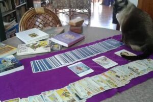 UNIVERSO TAROT y NUMEROLOG&Iacute;A &ndash; GRACIELA PERROUD