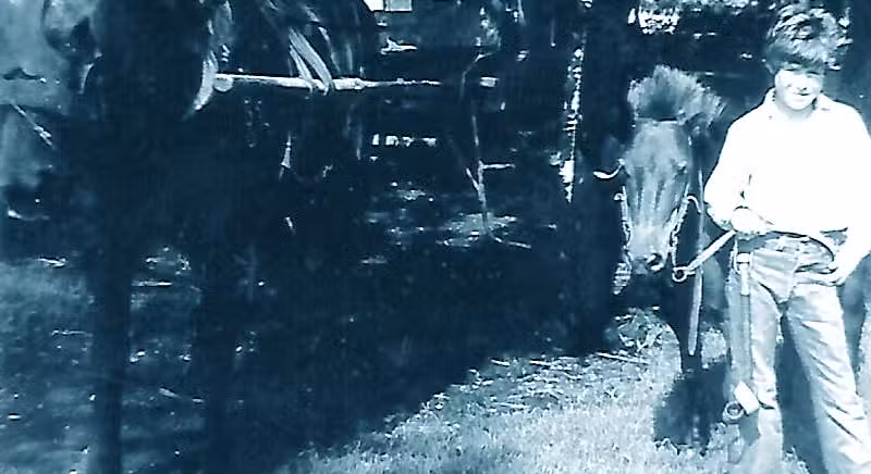 Vidente Luj&aacute;n